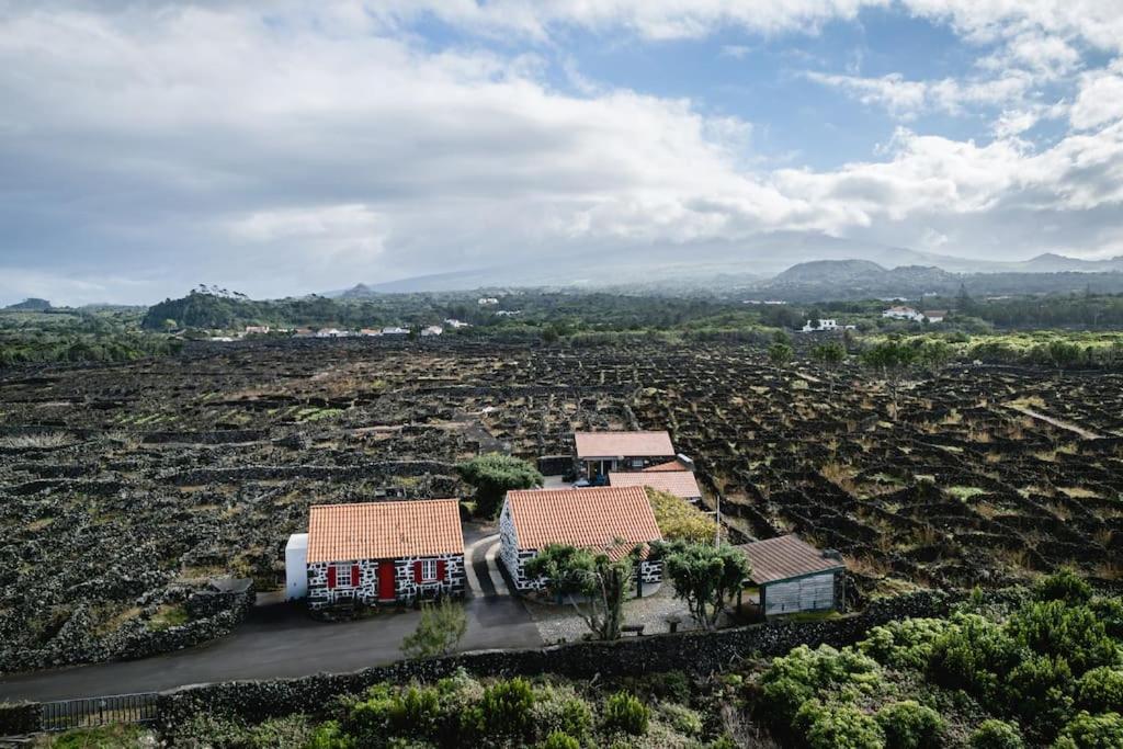 Adega Dos Virgilios Villa Cabo Branco Exterior foto